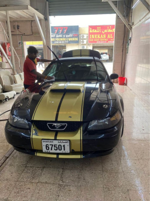 2003 Ford Mustang