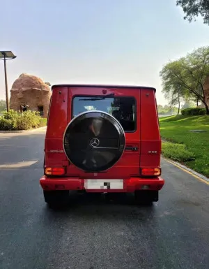 2010 Mercedes-Benz G-Class