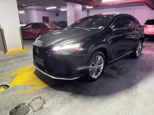 2022 Lexus NX in dubai