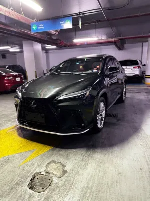 2022 Lexus NX