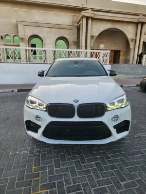 2017 بي أم دابليو اكس - 6