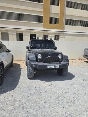2014 جييب رانجلر