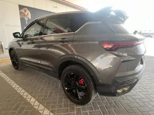 2025 جيلي كولاري