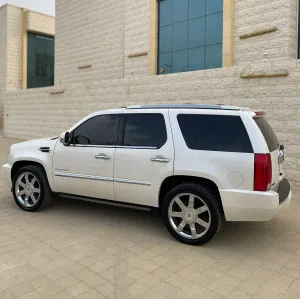 2010 Cadillac Escalade