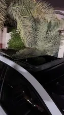 2016 فولجس فاجن جولف