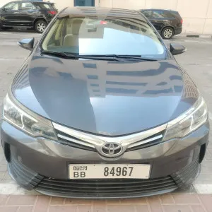 2019 تويوتا كورولا