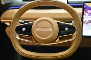 2024 Exeed TX