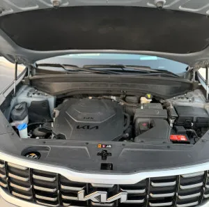 2023 كيا تيلورايد