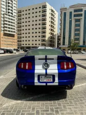 2010 Ford Mustang