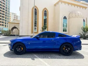 2010 Ford Mustang
