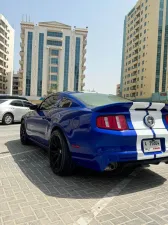 2010 Ford Mustang