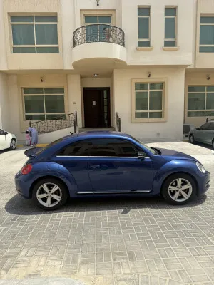 2015 Volkswagen Beetle
