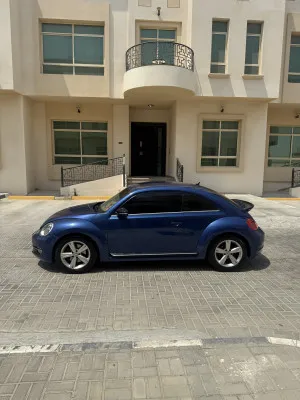2015 Volkswagen Beetle