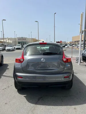 2014 نيسان جوك