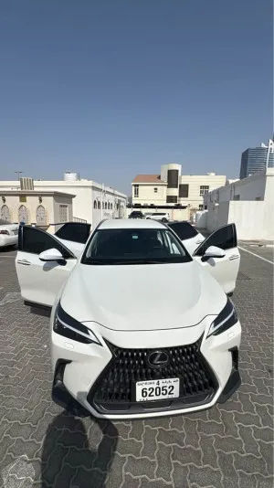 2024 Lexus NX in dubai