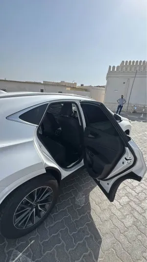 2024 Lexus NX
