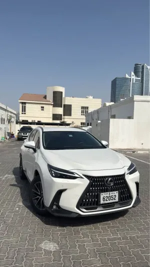 2024 Lexus NX