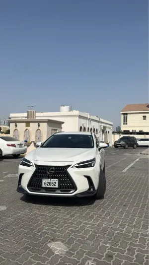 2024 Lexus NX