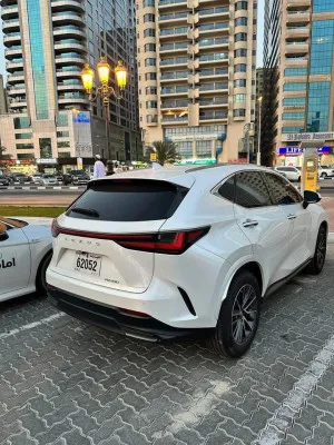 2024 Lexus NX