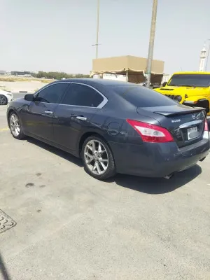 2010 Nissan Maxima