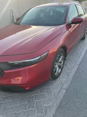 2025 هوندا أكورد