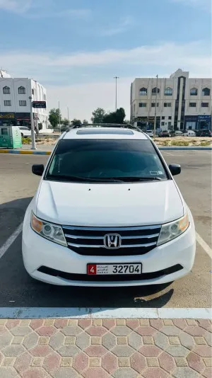 2011 Honda Odyssey in dubai
