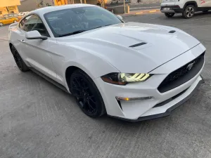 2019 Ford Mustang in dubai