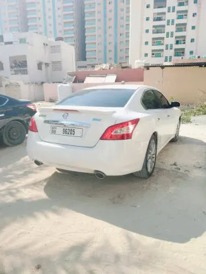 2011 Nissan Maxima