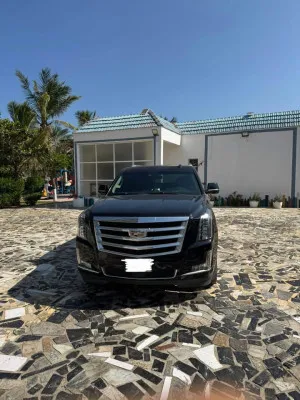 2017 Cadillac Escalade