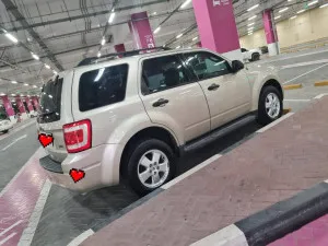 2011 Ford Escape
