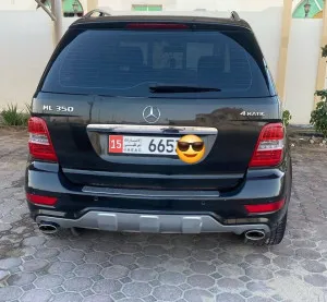 2010 Mercedes-Benz ML