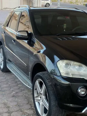 2010 Mercedes-Benz ML