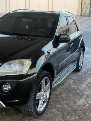 2010 Mercedes-Benz ML