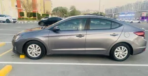 2019 Hyundai Elentra