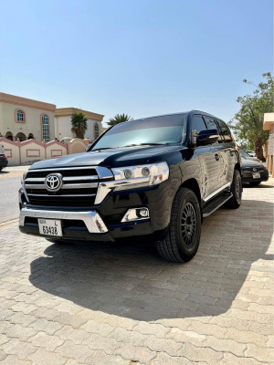 2010 Toyota Land Cruiser