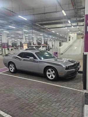 2014 دودج شالنجر