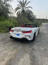 2019 BMW 8-Series