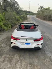 2019 BMW 8-Series