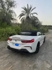 2019 BMW 8-Series
