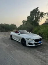 2019 BMW 8-Series