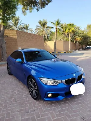 2016 بي أم دابليو الفئة - 4 