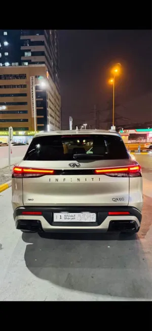 2023 Infiniti QX60