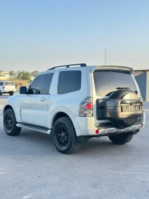 2010 Mitsubishi Pajero