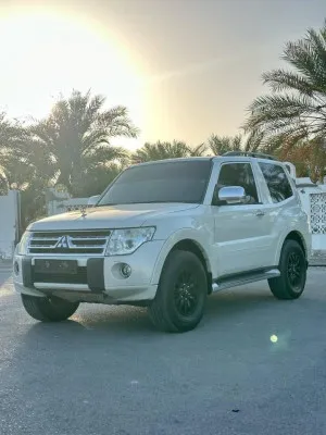 2010 Mitsubishi Pajero