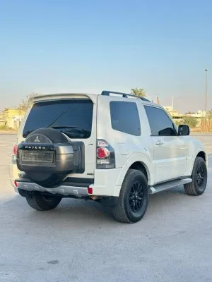 2010 Mitsubishi Pajero