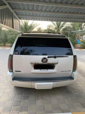 2013 Cadillac Escalade