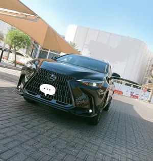 2025 Lexus NX in dubai