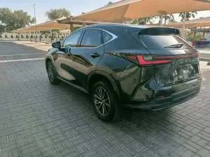 2025 Lexus NX