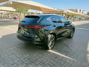 2025 Lexus NX