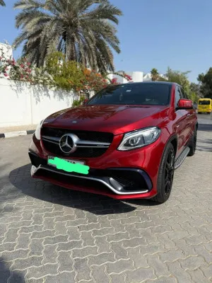 2016 Mercedes-Benz GLE